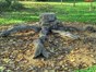 A tree stump sculpture created from a mature tree trunk cout low to the ground within the grassed area of the ublic gardens.