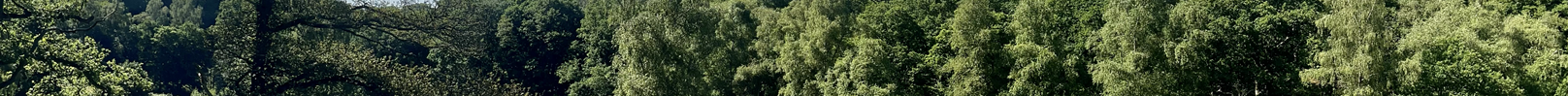 panoramic view of nature reserve looking out from high above on a rock top towards mature trees and open green space on a bright sunny day 