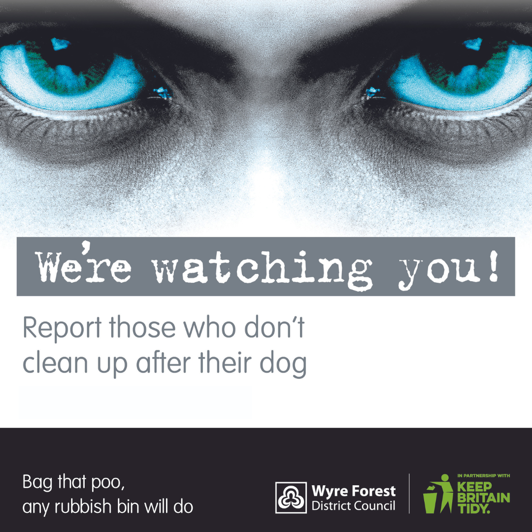Image of eyes with caption "We're watching you! Report those who don't clean up after their dog"