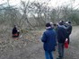 group of people looking at man kneeling by tree demonstrating hedging technique