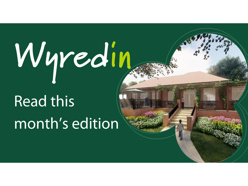 wyredin read this month's edition written on green background