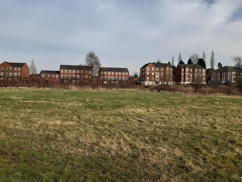 houses behind nature reserve