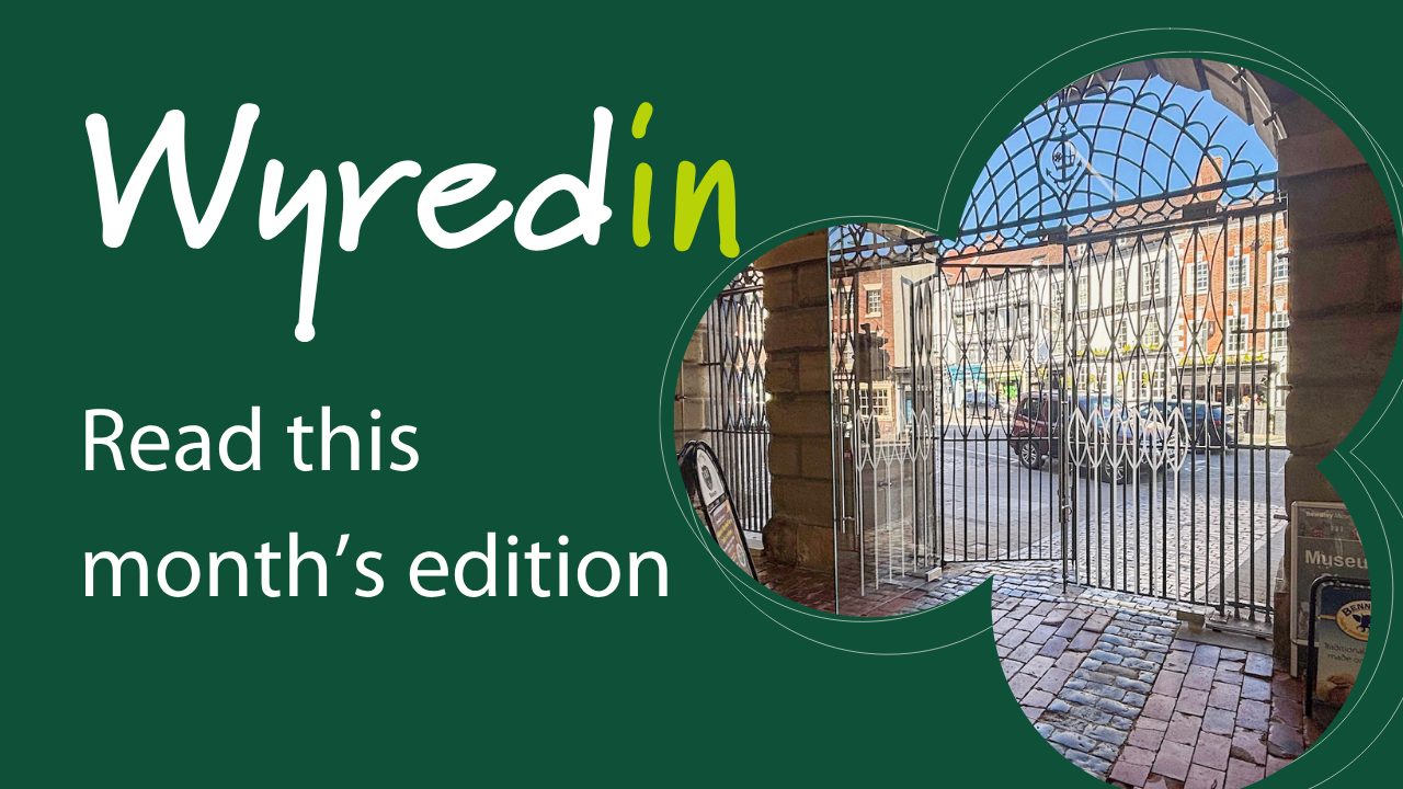 wyredin read this month's edition written on green background