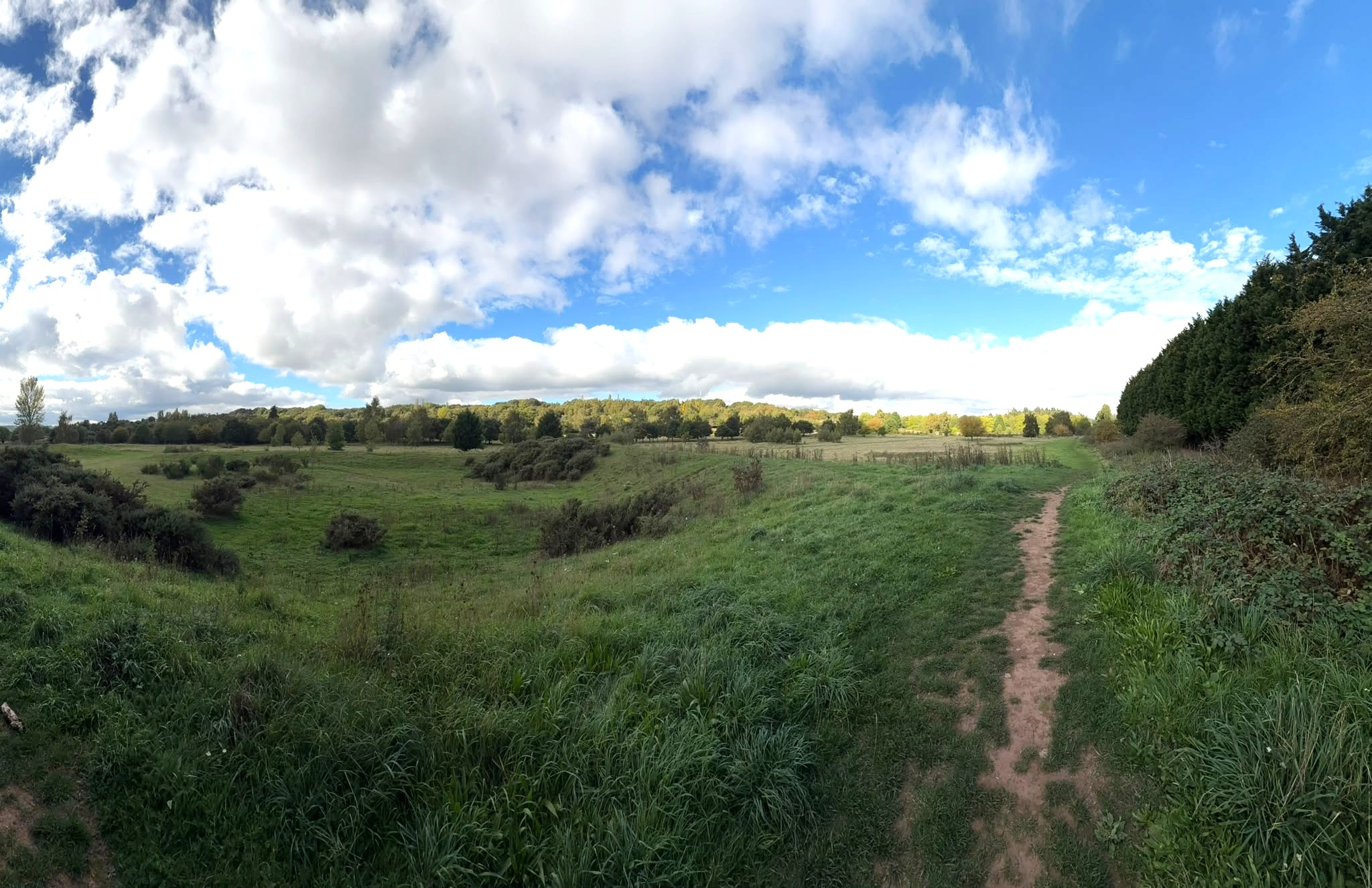 A open green space in a country park