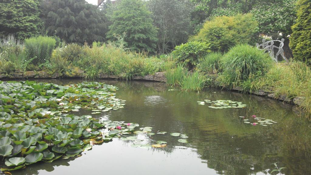 Pond located in beautiful public gardens. The pond is filled with numerous aquatic plants adding to the beauty of the pond. On the far right side there is  a wire sculpture of a dancing person.