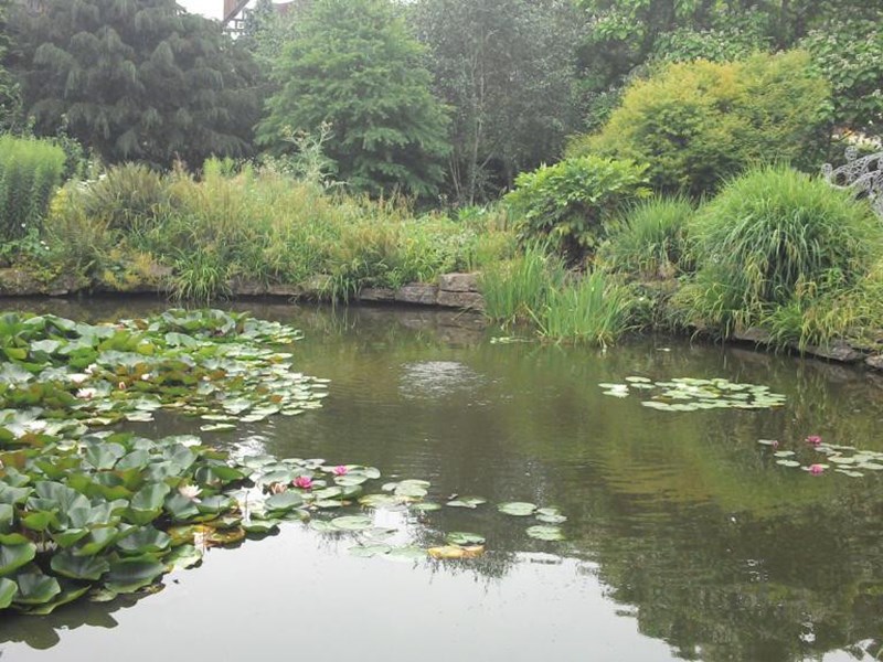 Pond located in beautiful public gardens. The pond is filled with numerous aquatic plants adding to the beauty of the pond. On the far right side there is  a wire sculpture of a dancing person.