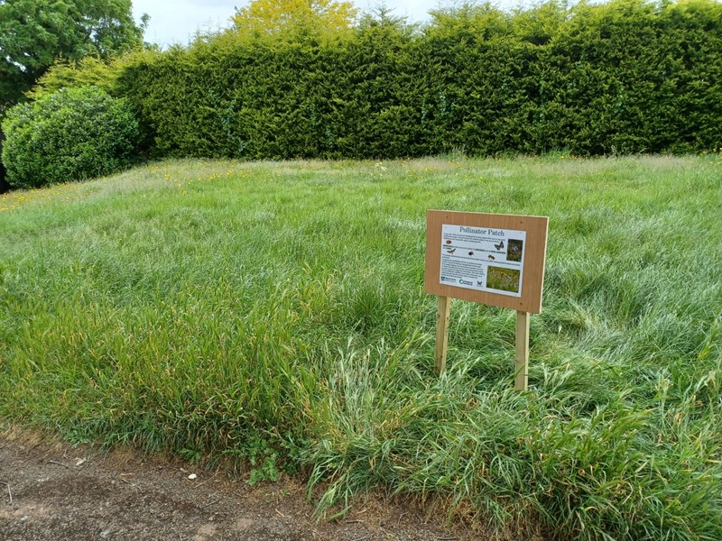Area of longer grass and wild flowers with a unreadable signpost in the middle