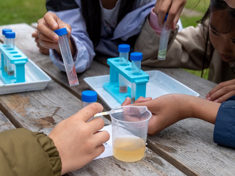Children and their hands at an outdoor wooden table with scientific equipment such as test tubes
