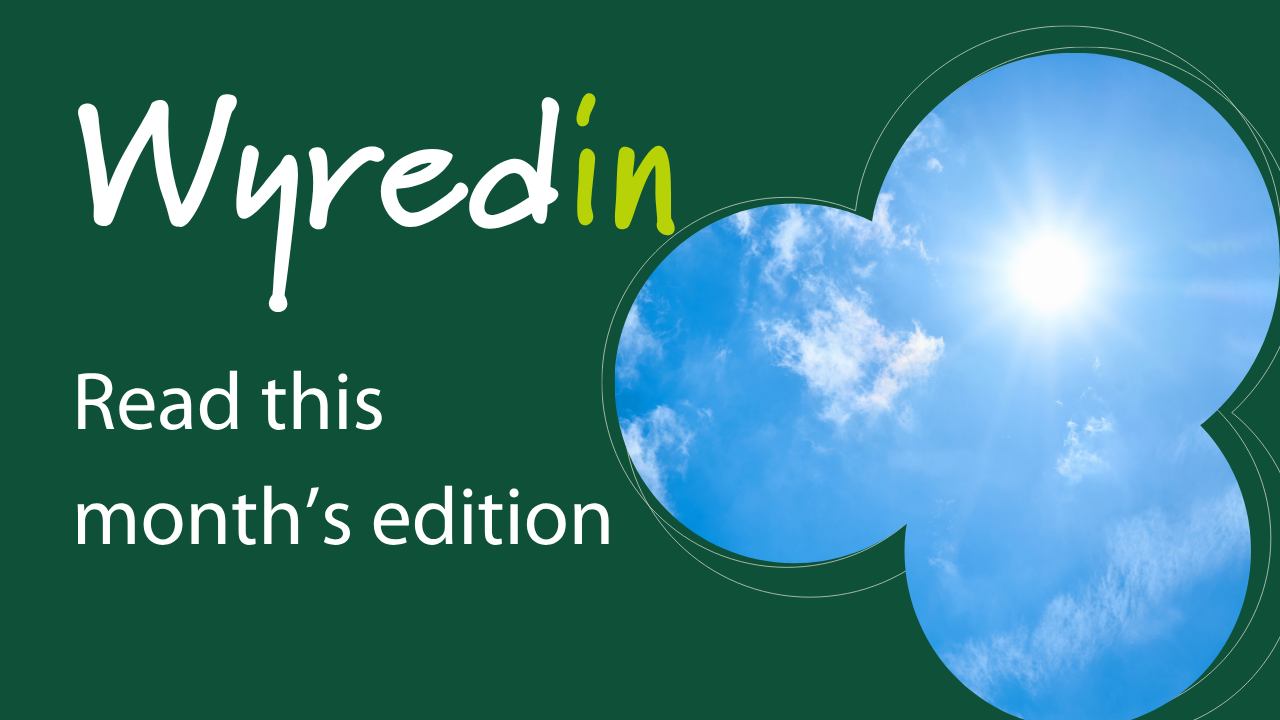 wyredin read this month's edition written on green background