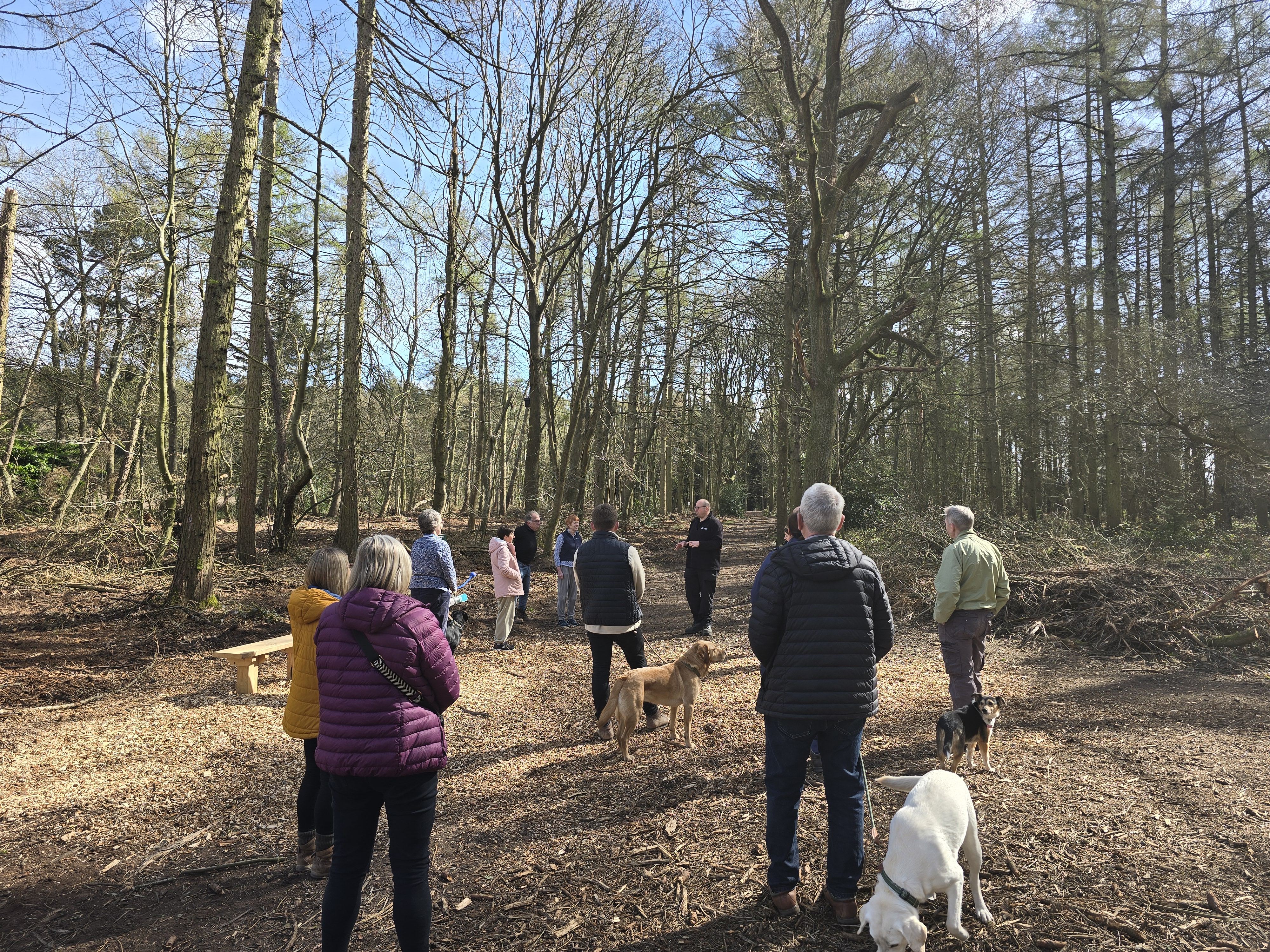 A group of people walking in a woodland. 