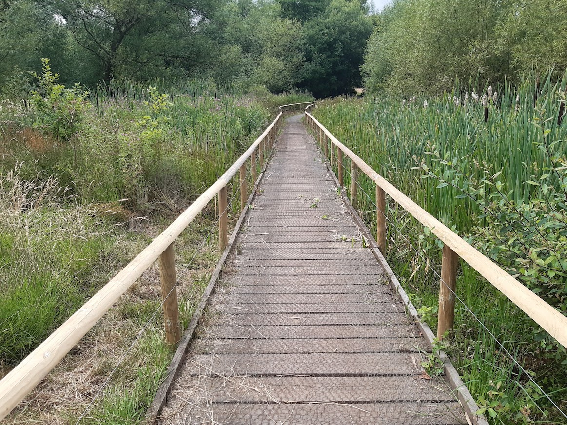 wooden walkway through local nature reserve