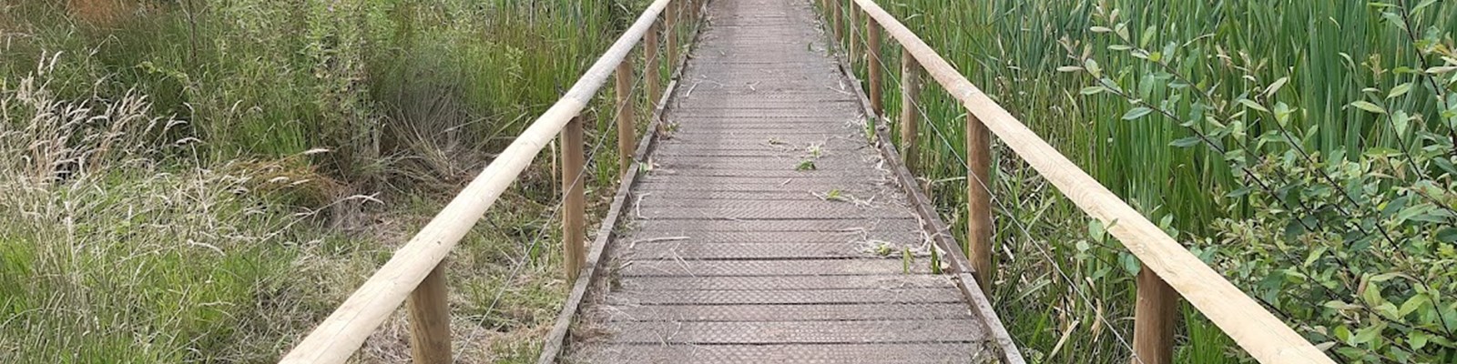 wooden walkway through local nature reserve