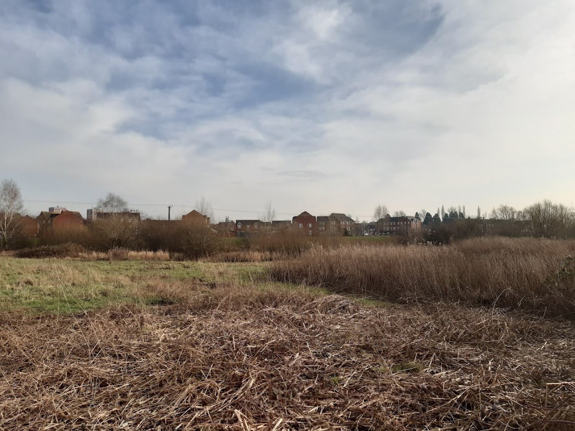 local nature reserve wetland area