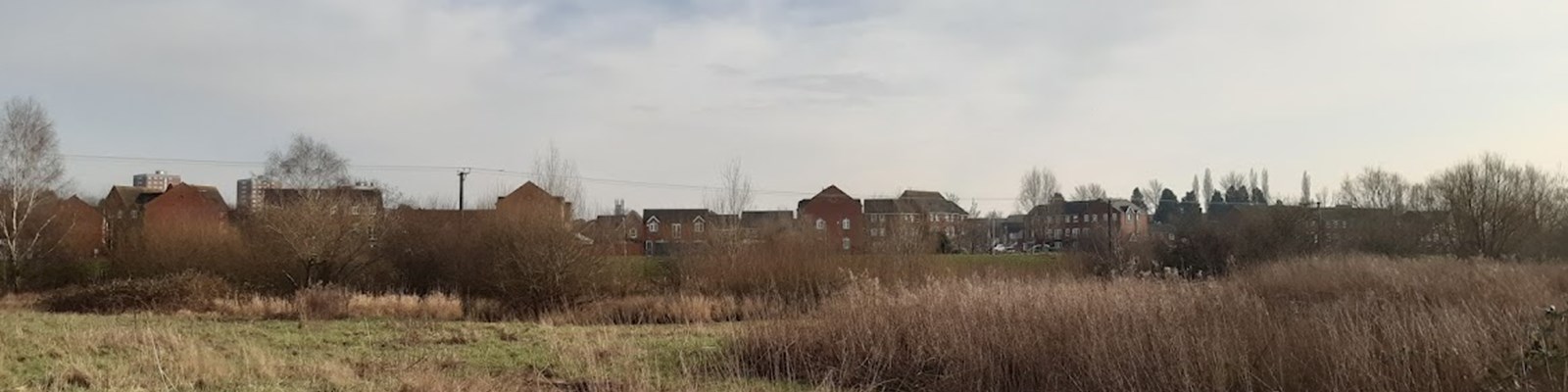 local nature reserve wetland area