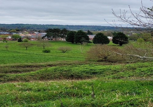 view down grassed hill towards trees and housing