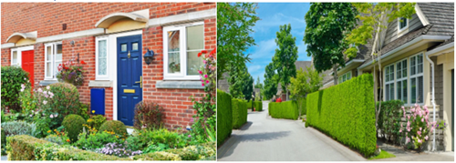 2 images of different planting in front of houses