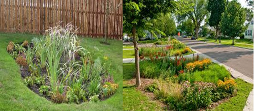 landscaped domestic gardens