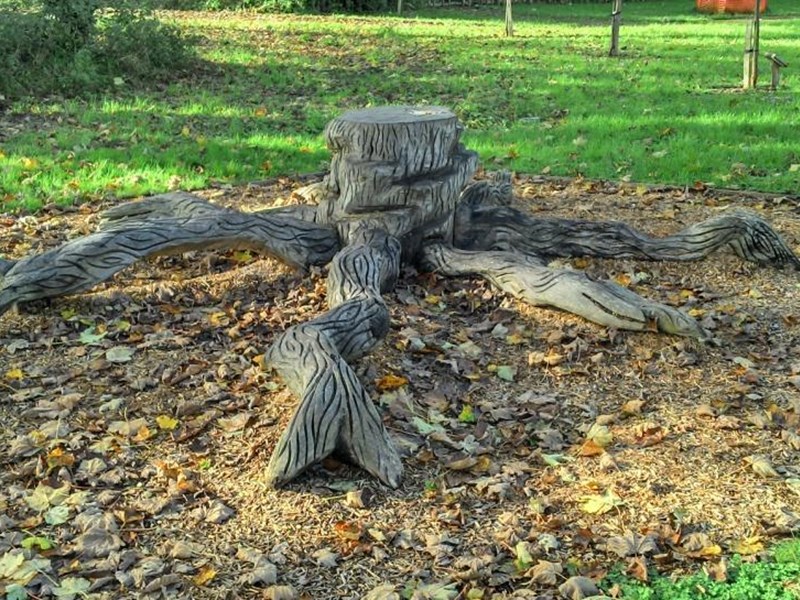 A tree stump sculpture created from a mature tree trunk cout low to the ground within the grassed area of the ublic gardens.