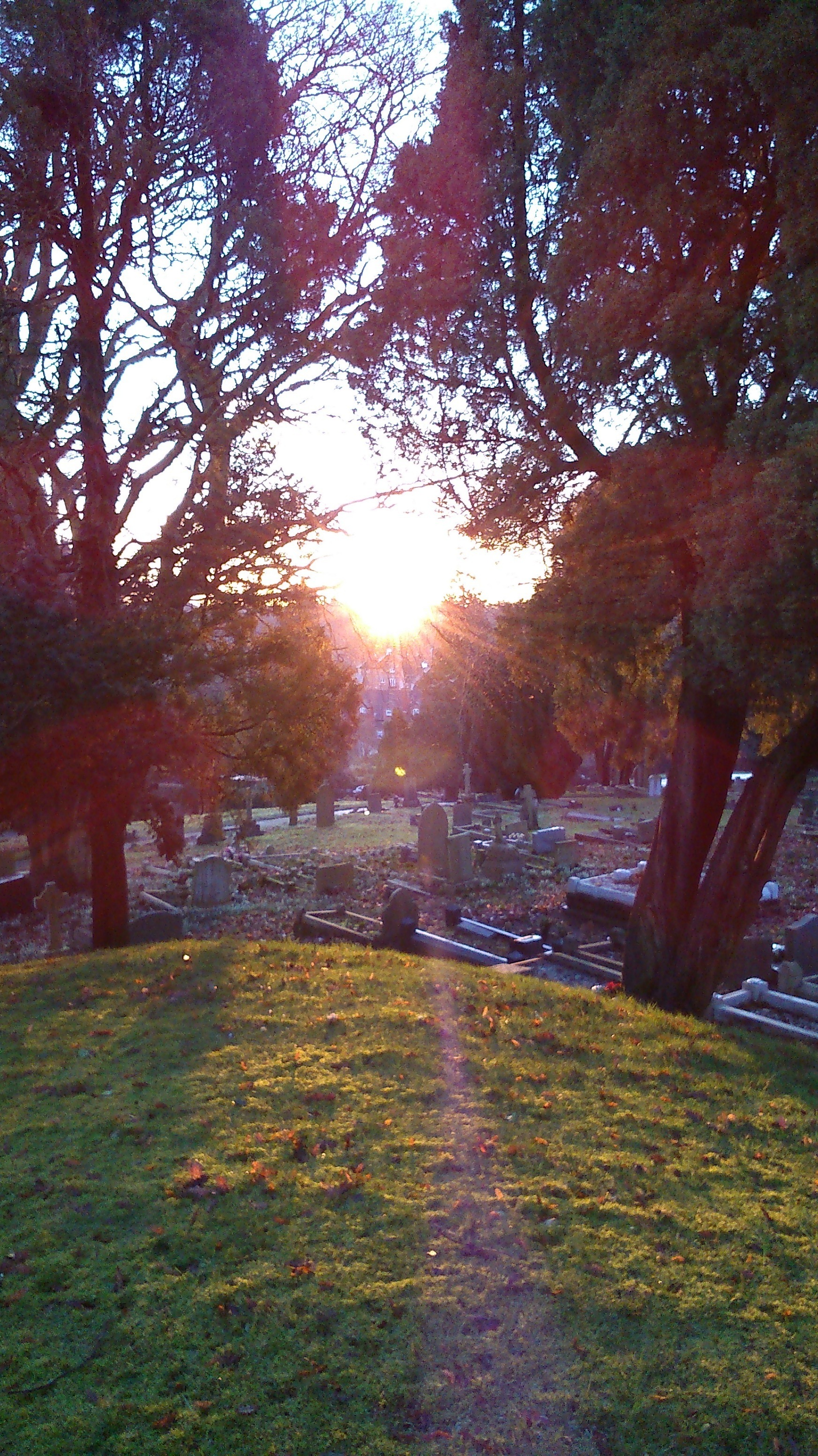 cemetery grounds at sunset