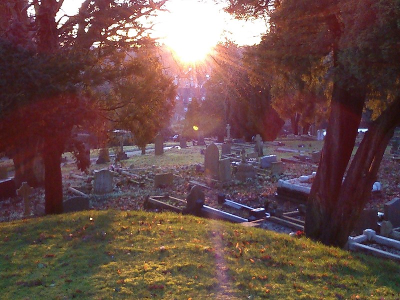 SustFest - Caring for our Cemetery