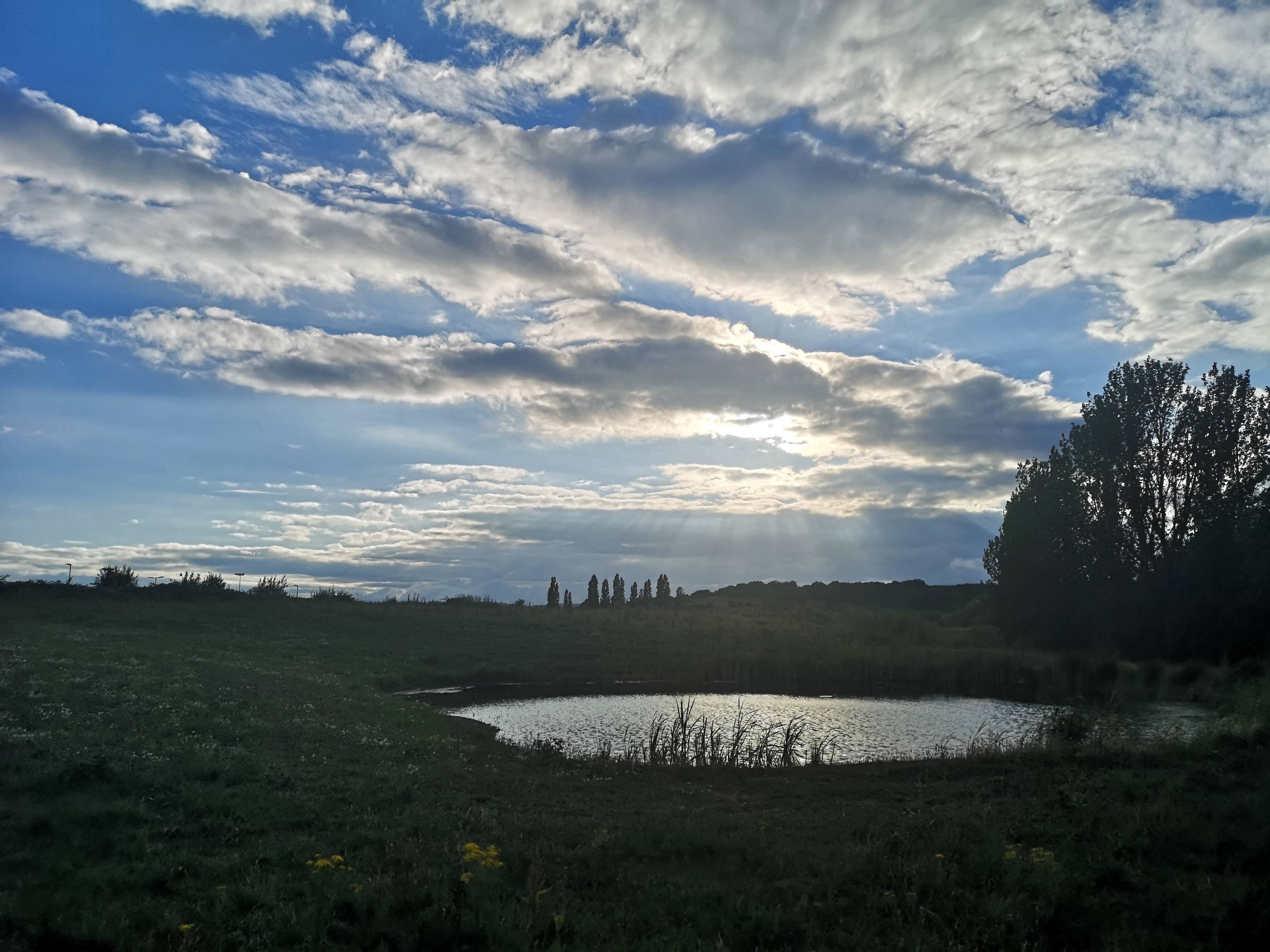newly landscaped pool in nature reserve with sun shining