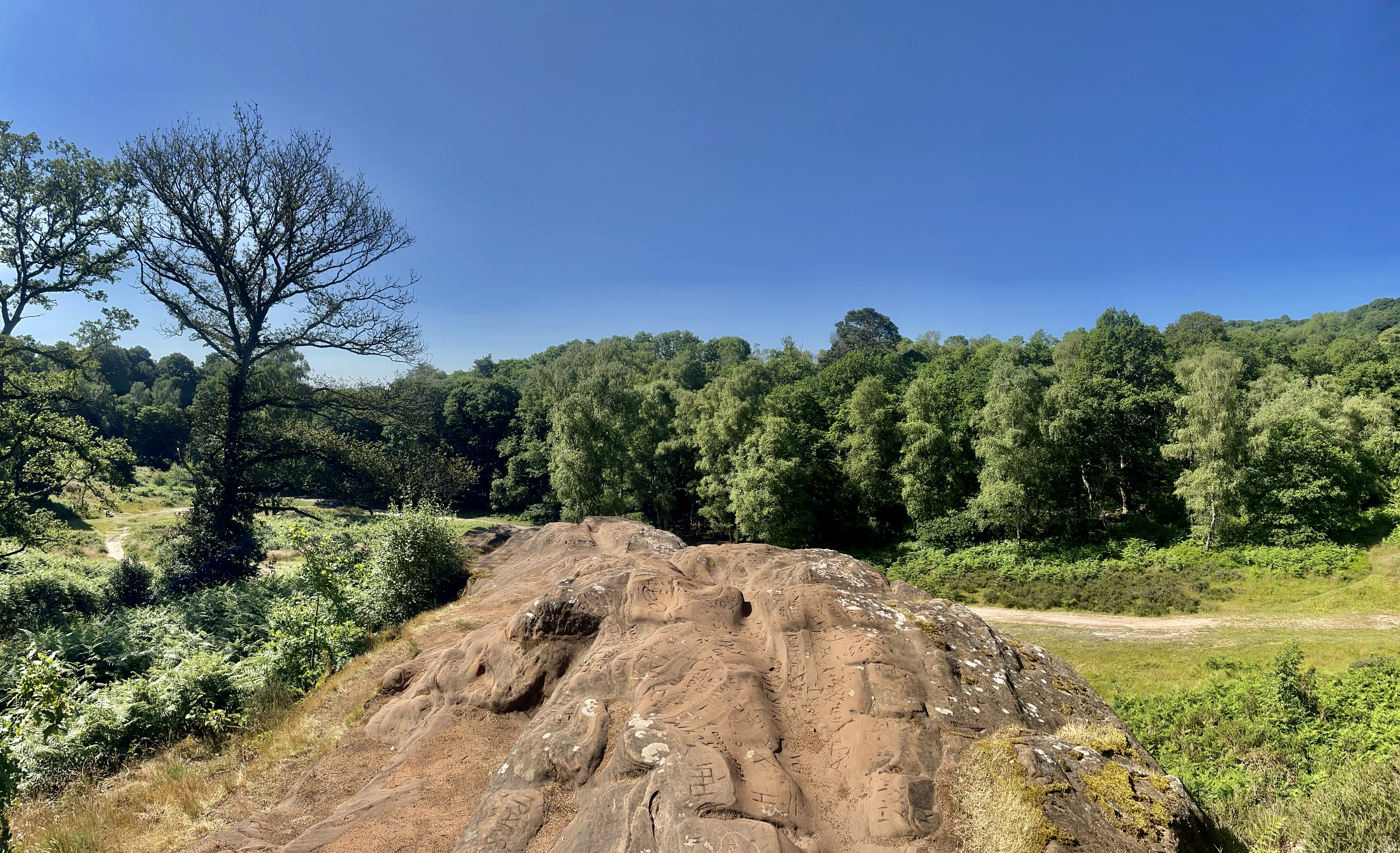 panoramic view of nature reserve looking out from high above on a rock top towards mature trees and open green space on a bright sunny day 