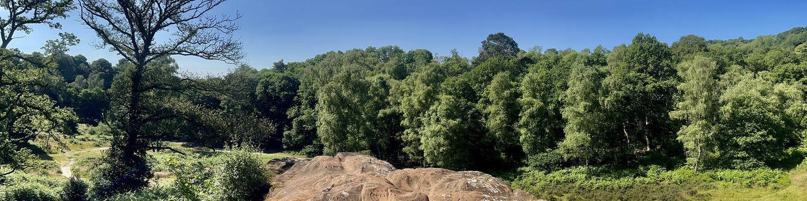 panoramic view of nature reserve looking out from high above on a rock top towards mature trees and open green space on a bright sunny day