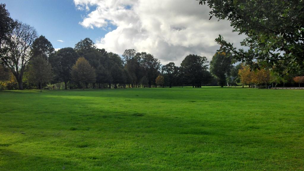 A vast scene of beauitfully lawned grass area bordered by tall mature trees with the summer sun shining.