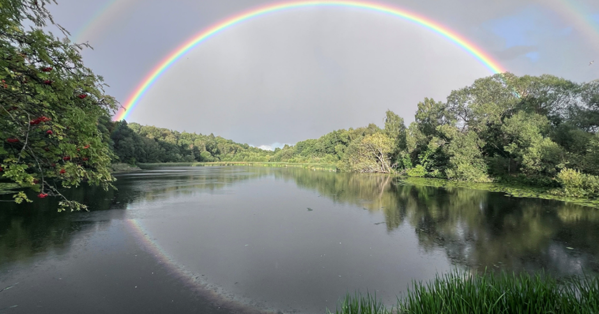 double rainbow over pool and woods at local nature reserve