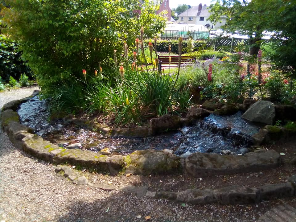 sensory garden with varius vegitation and plants growing in designated borders of the winding footpath