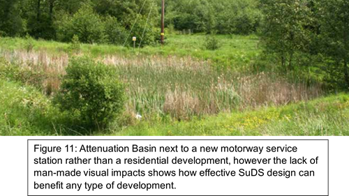 grassy meadow like area