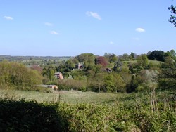 a rural landscape featuring rolling hills, scattered trees, and several houses nestled among greenery under a clear blue sky. Foreground includes dense bushes and a grassy field, while background shows distant hills and a few clouds.