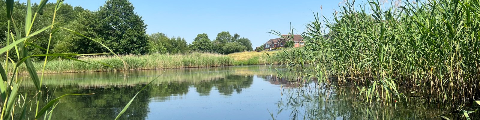 pool at local conservation area