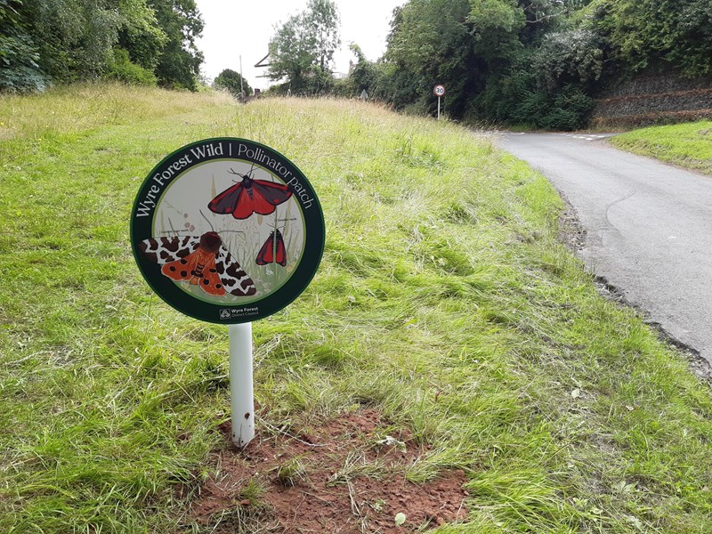 circular sign showing butterflies on grass verge