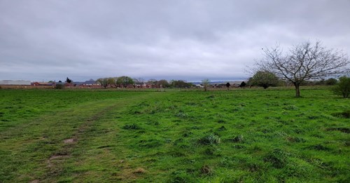 view across grassed field to housing in distance