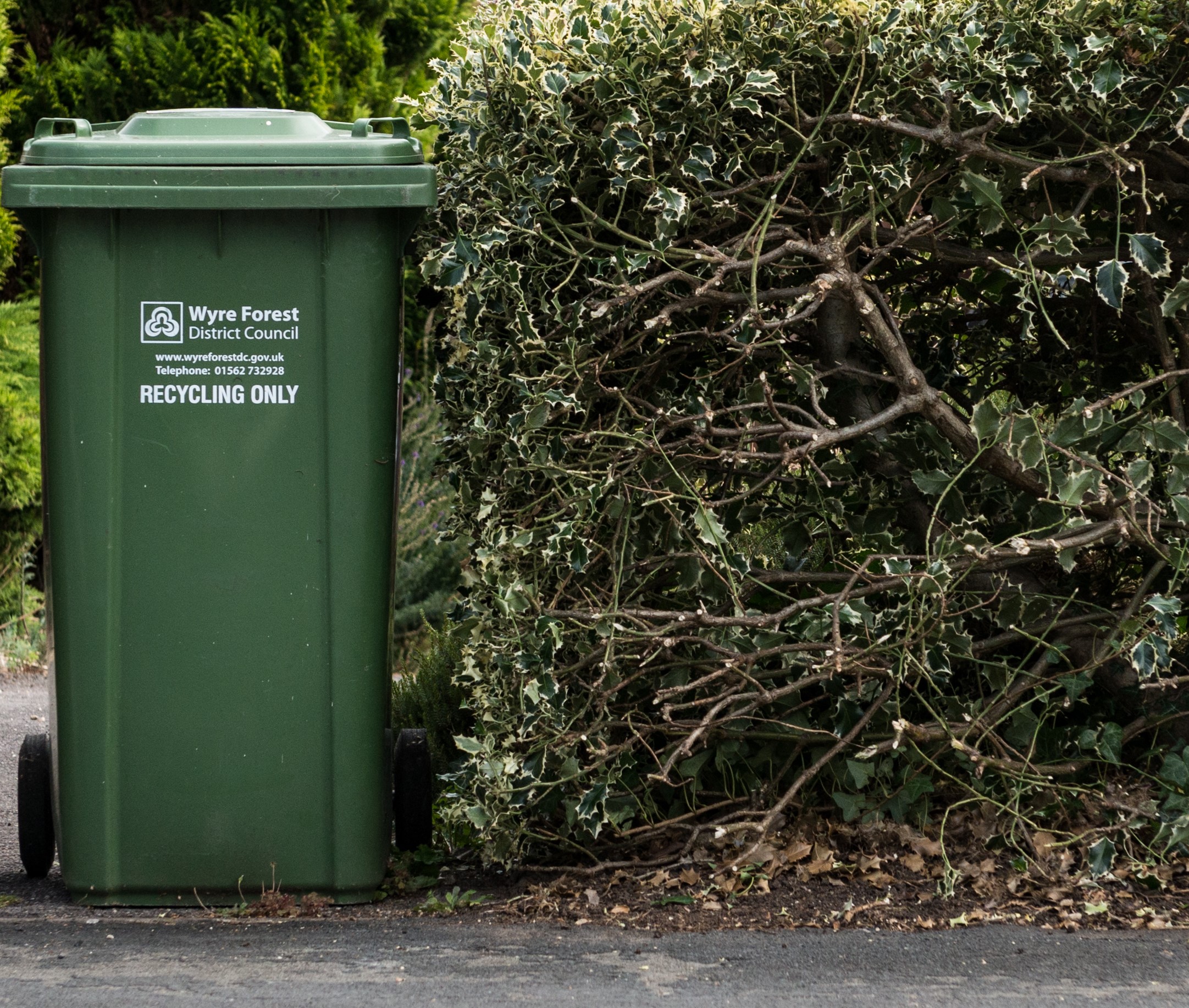 A green recycling bin next to a hedge
