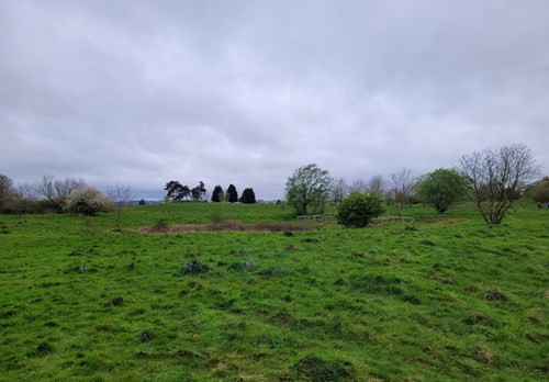 grassed field area