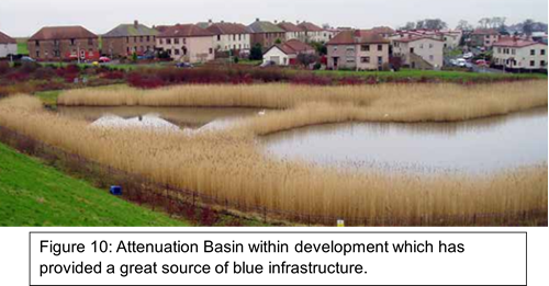 area of water with plants around in front of houses