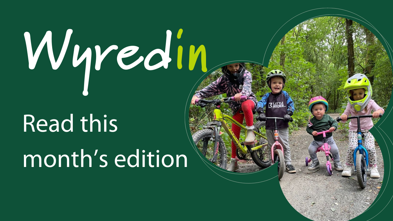 wyredin read this month's edition written on green background
