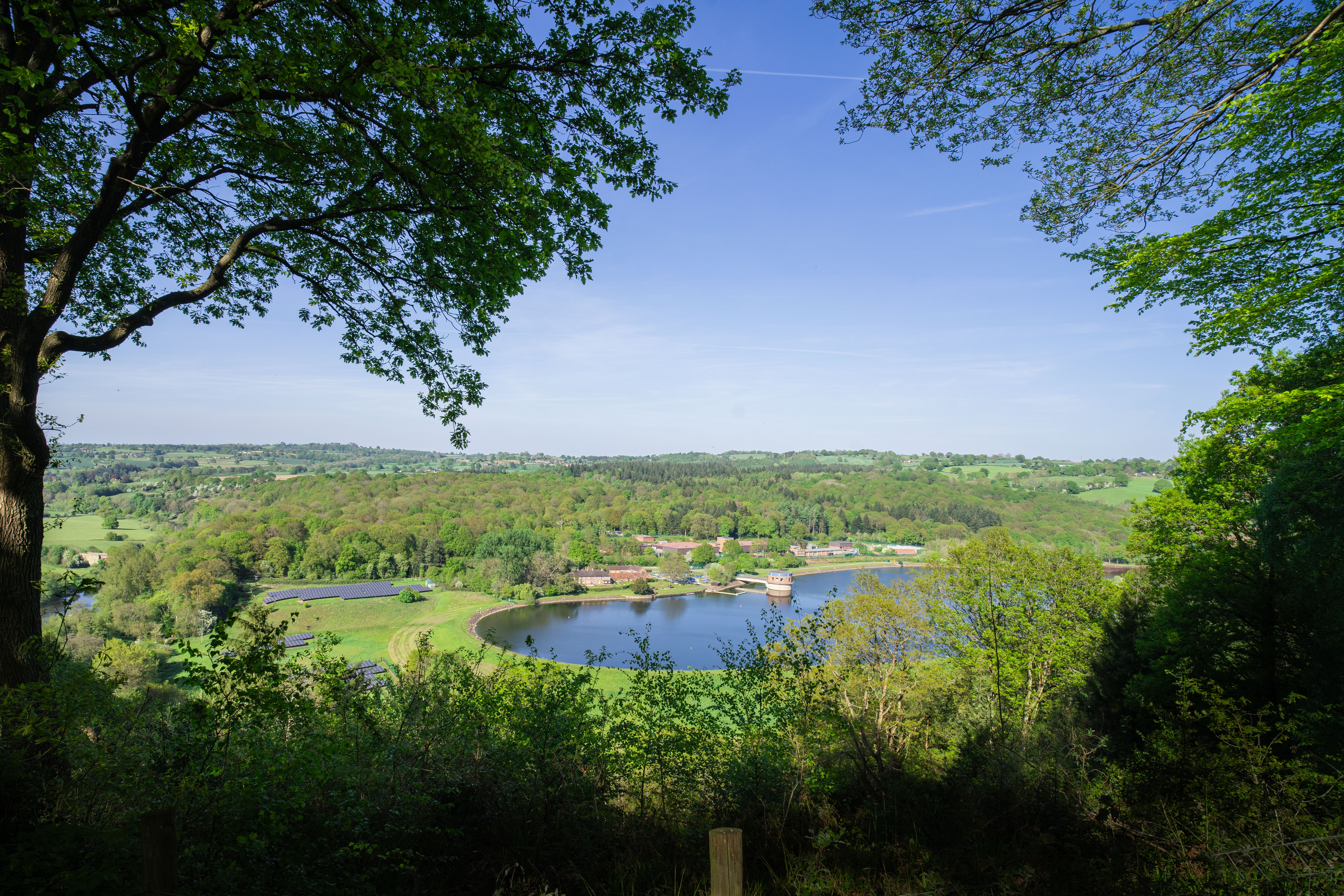 overlooking view of local reservoir: looking between mature trees down onto the reservoir on a sunny day