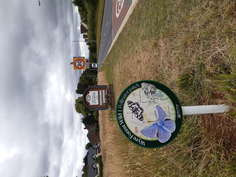 circular sign featuring insects on verge