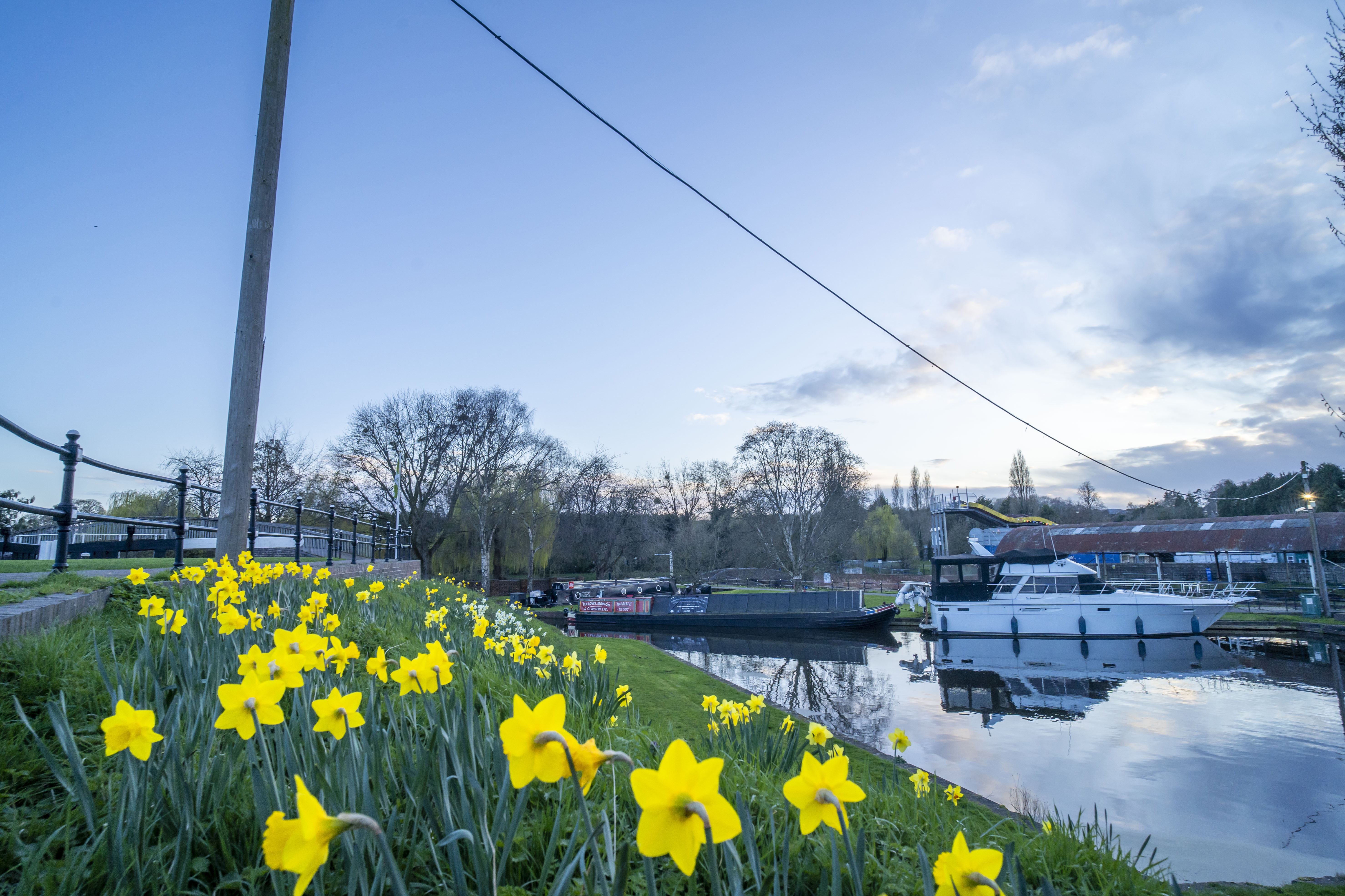 view of riverside embankment covered with spring bulbs and daffodils with boats in the background