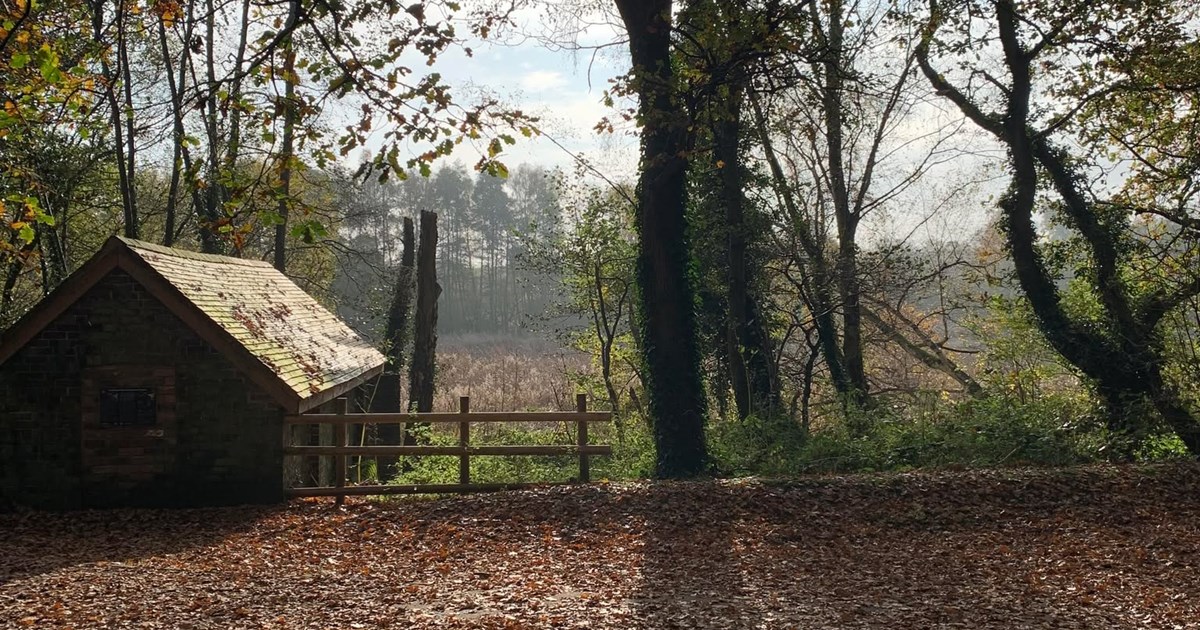 wooden building at end of pool