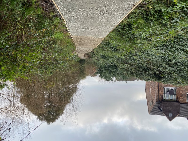 path through marshland