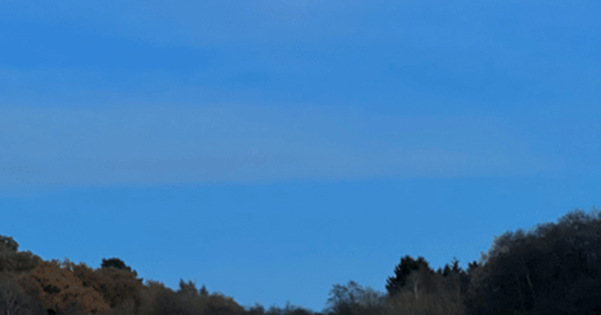 moon over pool and trees