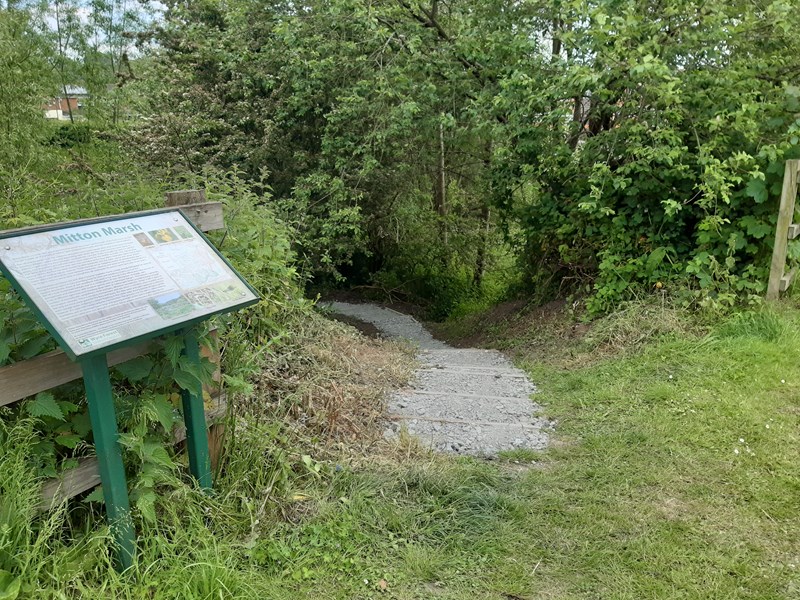 information board at pathway through hedge