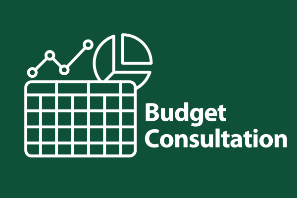 text reads budget consultation with graphic of a chart 