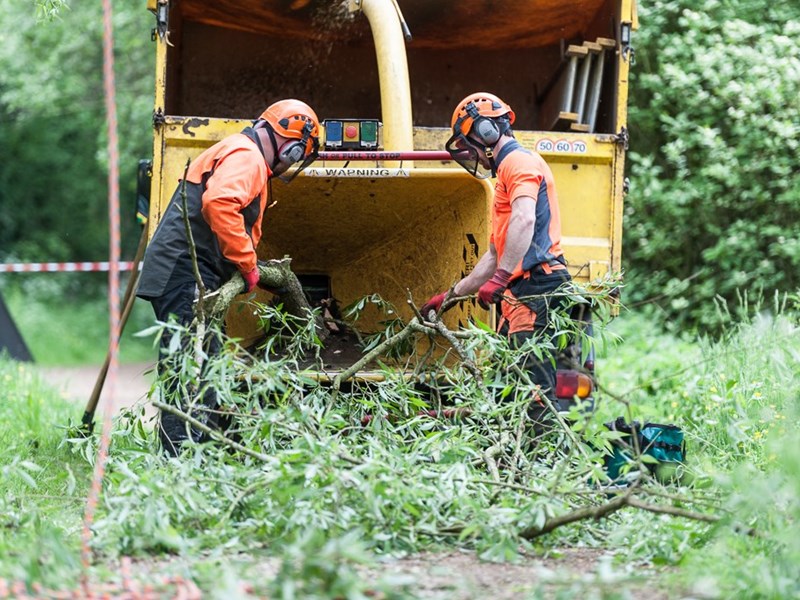 2 people feeding a tree into the back of a tree shredding machine to make it into pulp