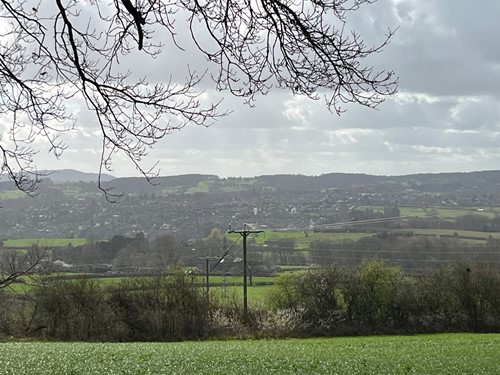 green rural landscape