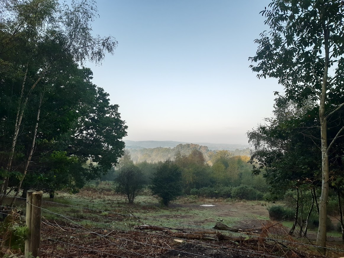view across local nature reserve